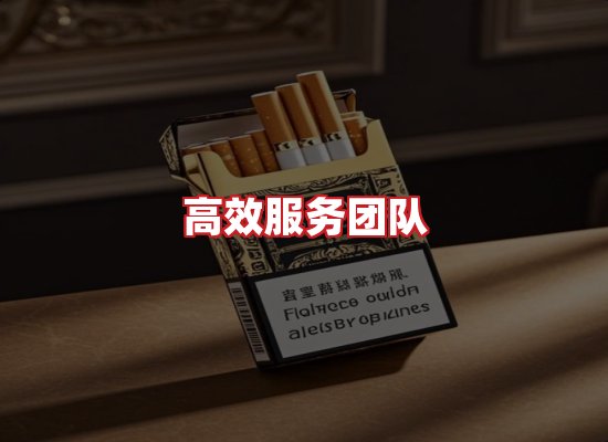 专业团队